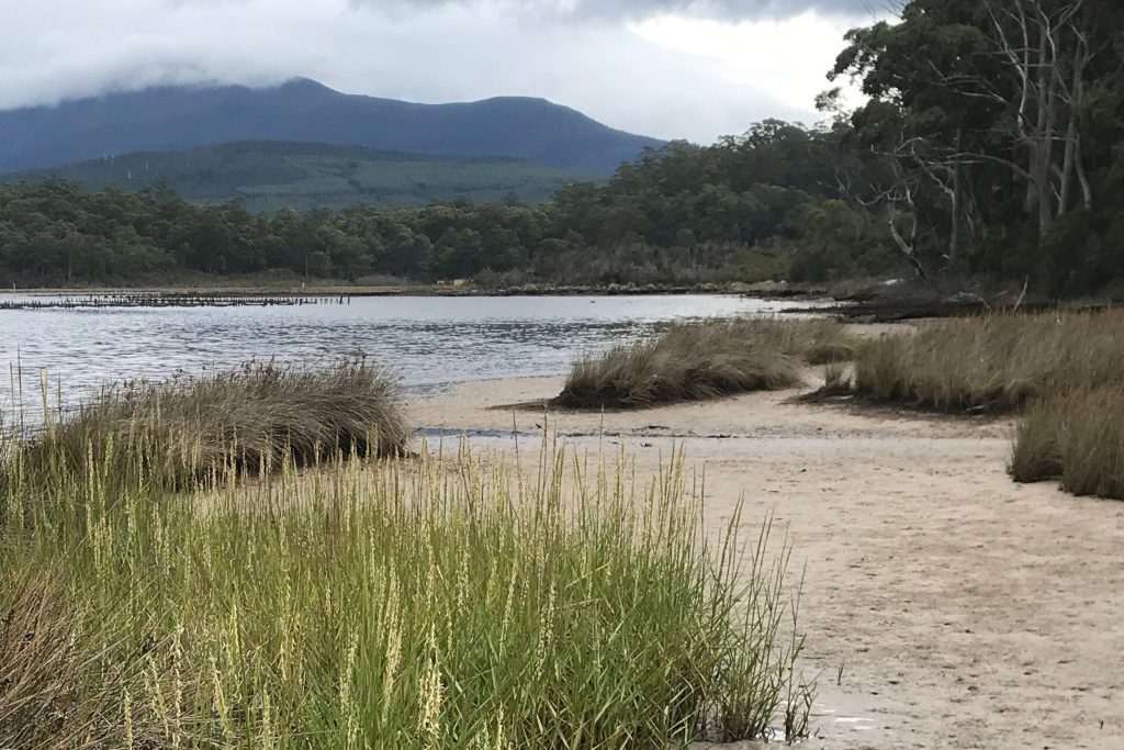 A serene coastal landscape with sandy beaches and tall grasses in the foreground. Calm water stretches to the horizon, bordered by dense green trees. Dark, cloud-covered mountains rise in the distance under a gray sky.