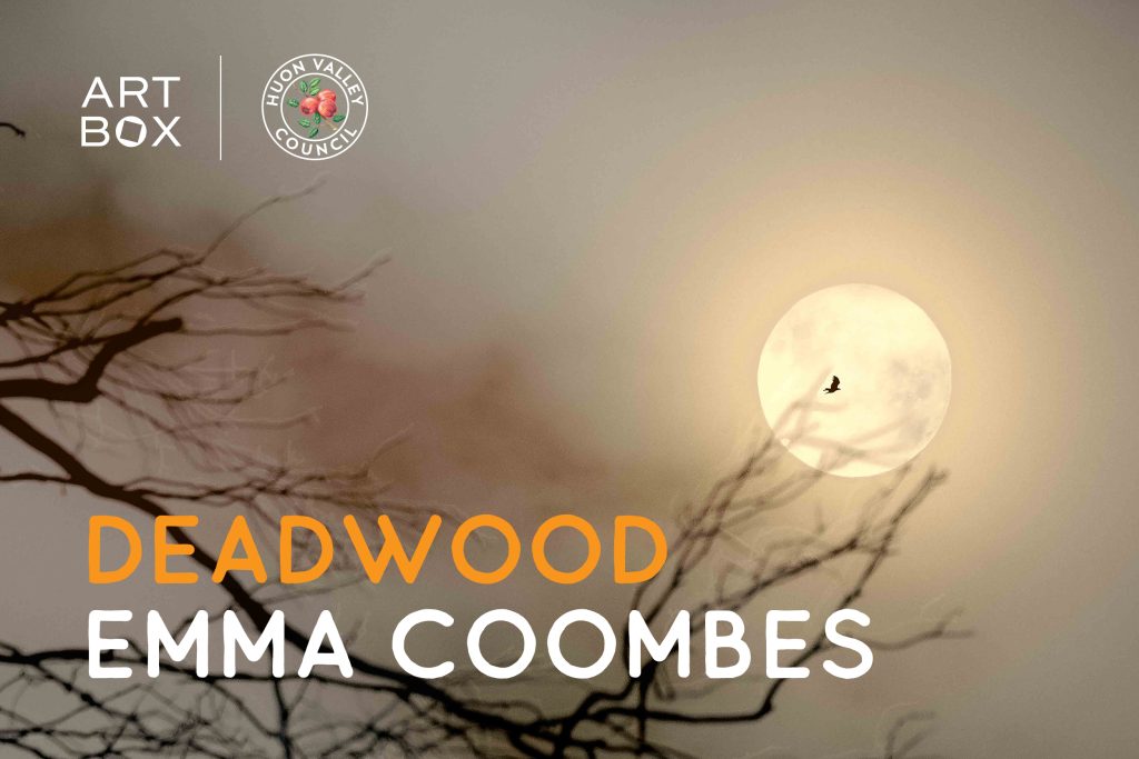 Silhouetted branches against a foggy sky with a full moon. A bird flies in front of the moon. Text reads ART BOX, HUON VALLEY COUNCIL, and DEADWOOD EMMA COOMBES.