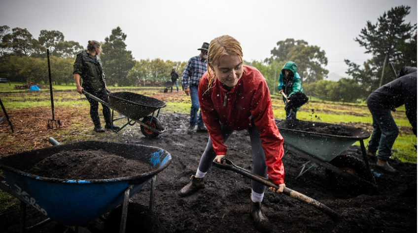 People shoveling soil into wheelbarrows in a field on a rainy day. A person in a red jacket is in the foreground, leaning forward with a shovel. Others in the background are also working, surrounded by greenery and overcast skies.