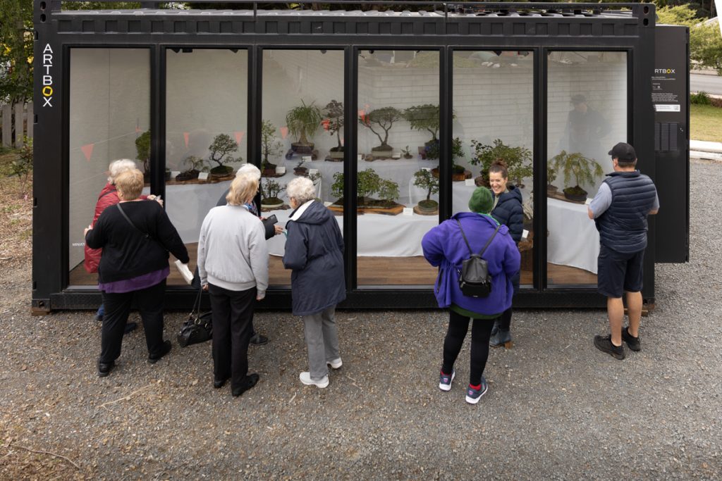 A group of people gathers outside a shipping container converted into a gallery. Inside, various bonsai trees are displayed on shelves against a white background. The container is labeled Artbox on the side.