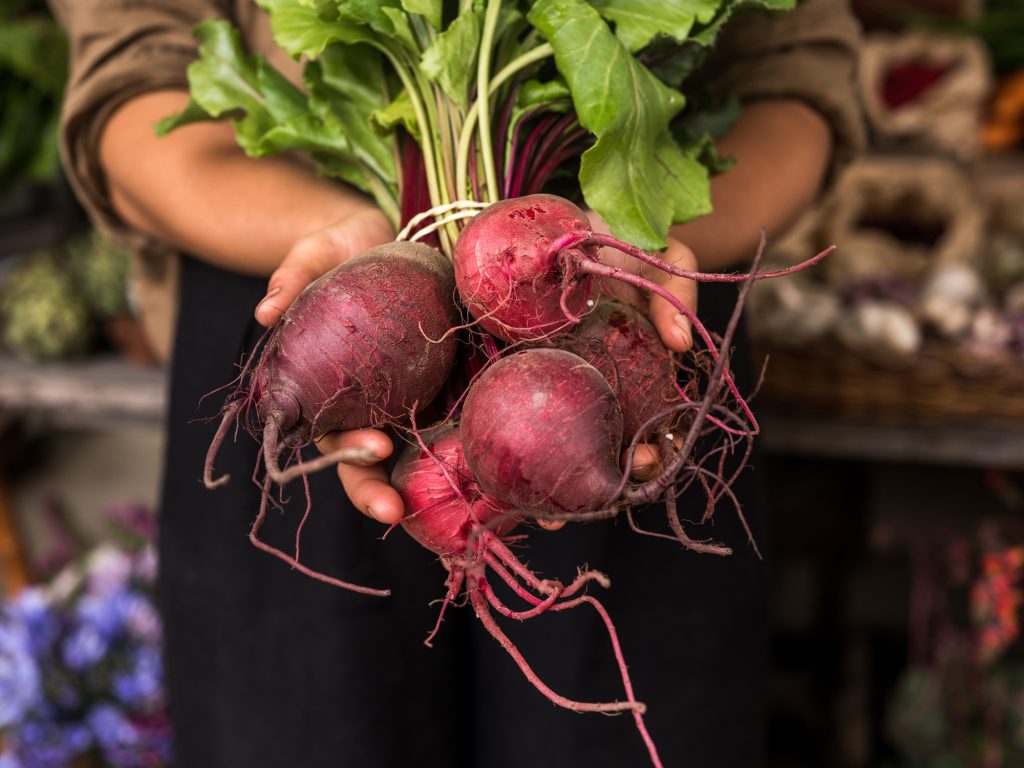 A person holding a bunch of freshly harvested red beets with green leaves, roots exposed, against a blurred background.