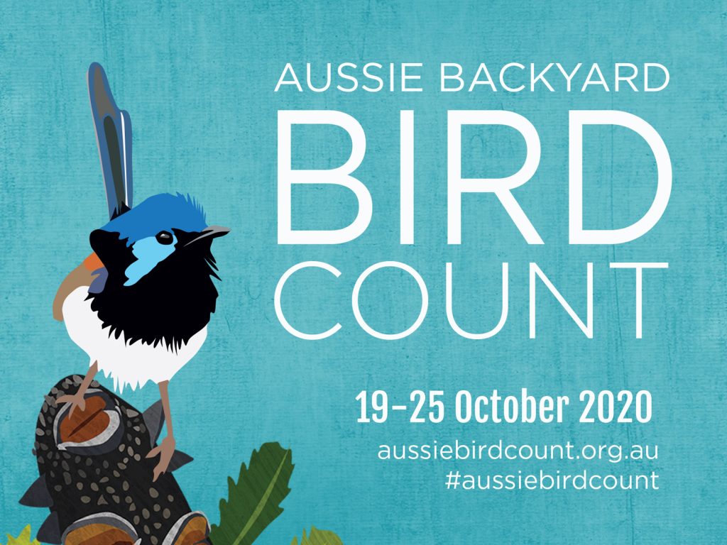 Illustration of a blue and black bird perched on a branch against a teal background. Text reads Aussie Backyard Bird Count, 19-25 October 2020, aussiebirdcount.org.au, #aussiebirdcount.