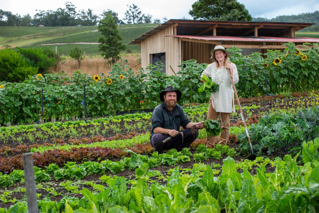 A man and a woman in hats tend to a vegetable garden with rows of leafy greens and sunflowers. The man crouches holding lettuce, while the woman stands with a rake. A wooden shed and rolling hills are in the background.