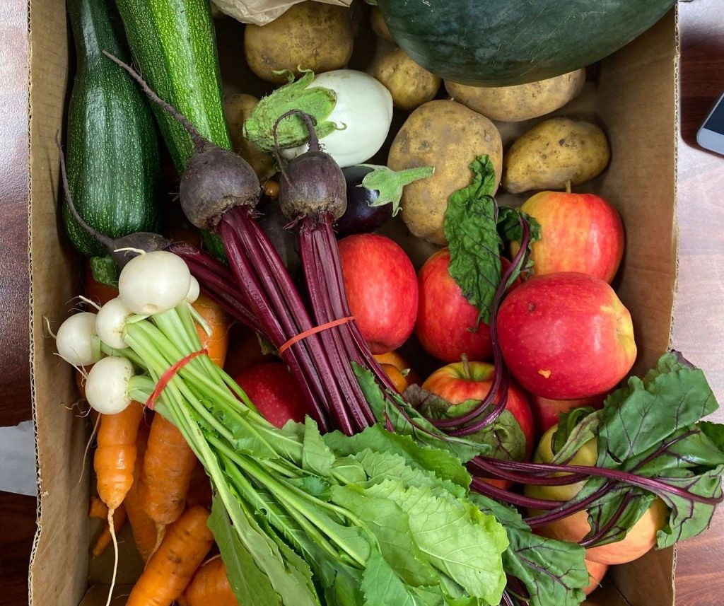 A box filled with assorted fresh produce, including zucchinis, potatoes, a squash, carrots with greens, turnips, beets with leaves, and red apples, arranged on a wooden surface.