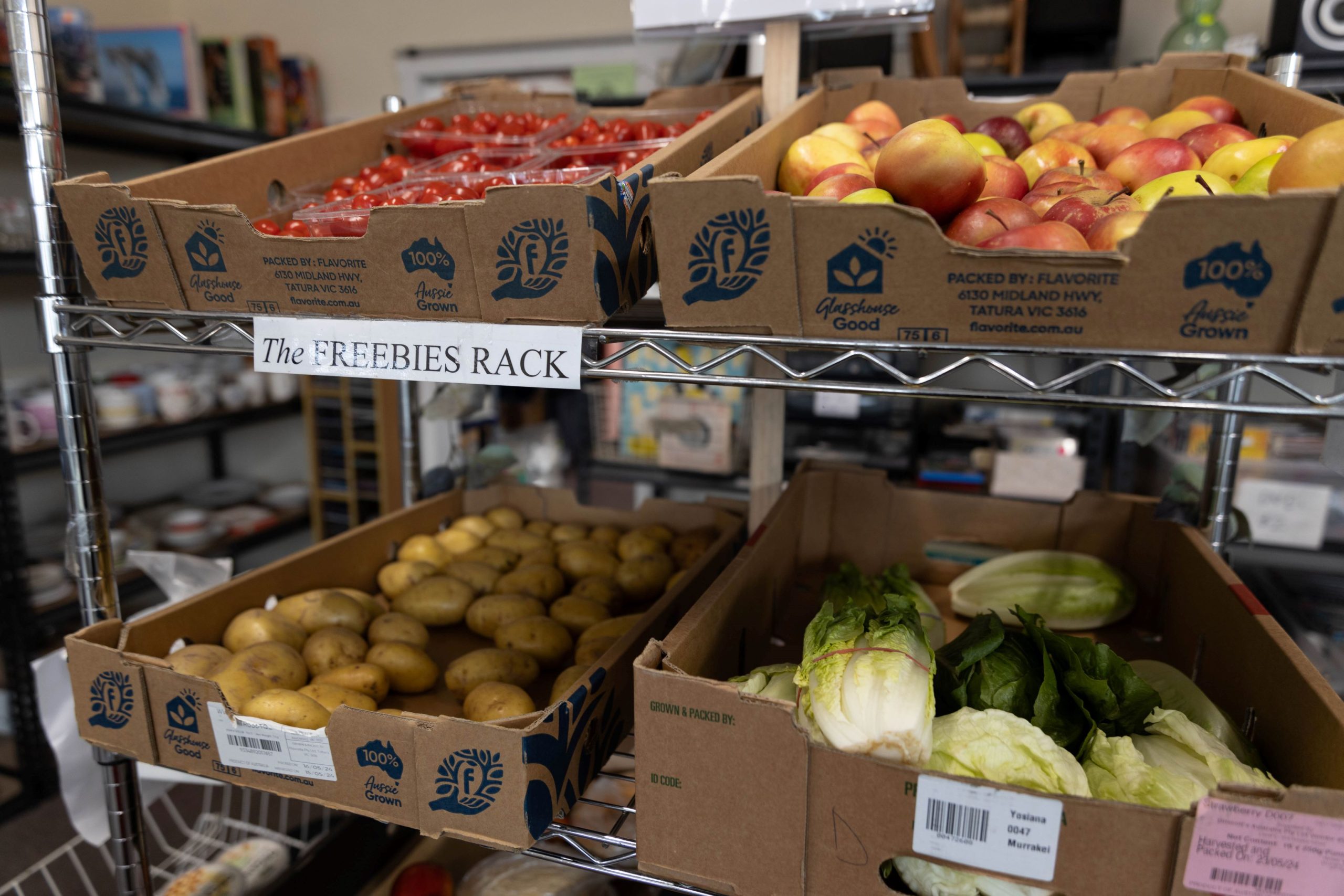 Boxes of fresh produce on a metal rack labeled The FREEBIES RACK, containing apples, potatoes, and lettuce. Tomatoes are also visible in the background.
