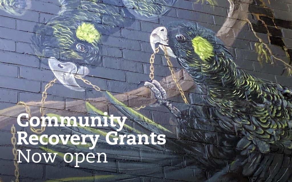 A mural of two black parrots with green patches playing on branches is painted on a brick wall. The text Community Recovery Grants Now open is overlaid on the image.