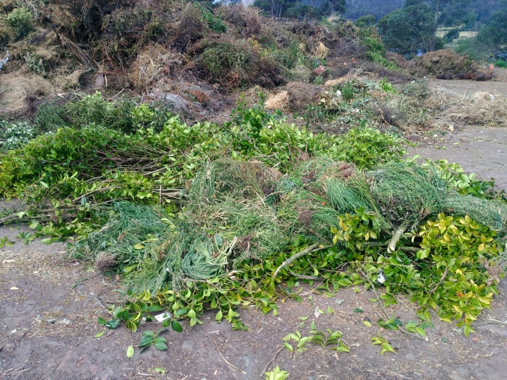 A large pile of green plant clippings and branches is scattered on the ground. In the background, there are more piles of similar garden waste, with trees and a hill under a cloudy sky.