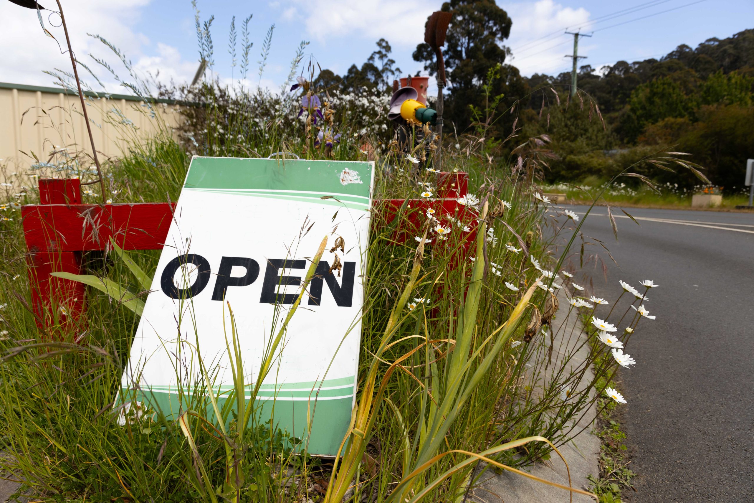 A green and white sign with OPEN is tilted among tall grasses and wildflowers by the roadside. A red bench is partially visible behind the sign. Trees and a utility pole line the background under a partly cloudy sky.