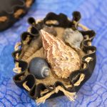 A decorative black bowl filled with sand and various seashells, including a large conical one with a patterned surface and smaller, dark shells. It rests on a textured blue surface with swirling designs.