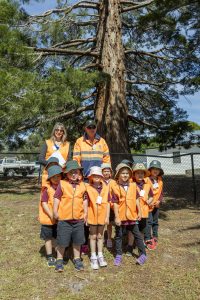 A group of young children wearing bright orange vests and hats stand in front of a tall tree with two adults. They are outdoors on a sunny day, and theres a vehicle and fence in the background.