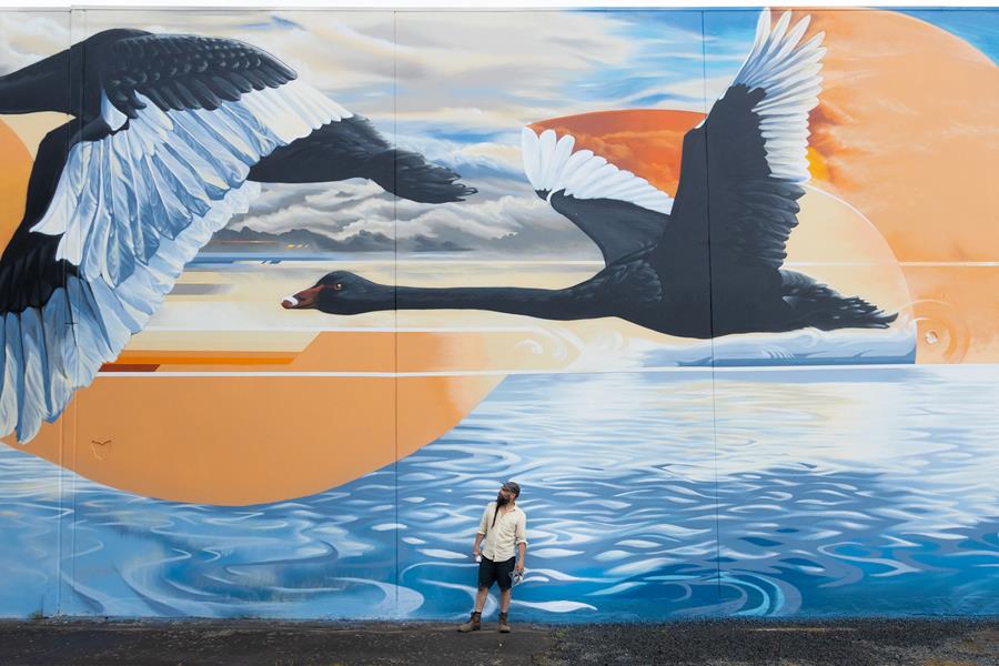 A person stands in front of a large mural depicting two black swans flying over a reflective body of water, with vibrant orange and blue hues in the sky. The person looks up at the mural, which covers a wall.