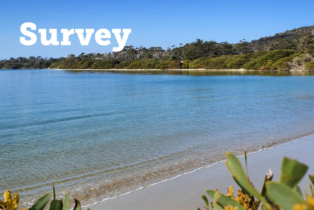 A tranquil beach scene with clear blue water gently lapping at the sandy shore. Dense greenery lines the coast in the background. The word Survey is prominently displayed in white at the top left.