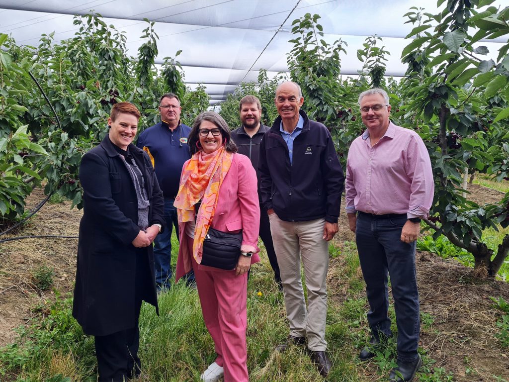 A group of six people standing under a netted canopy in an orchard. They are smiling and dressed in semi-formal attire, surrounded by trees in a lush, green setting.