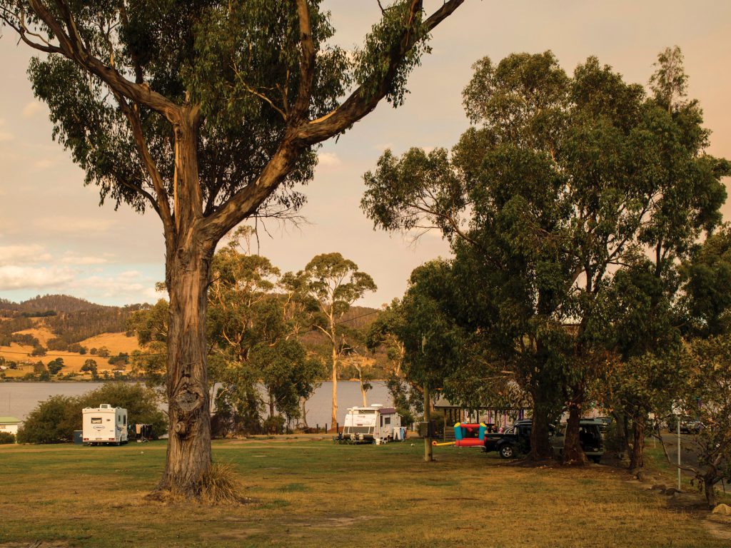 A serene lakeside campground with several RVs and a tent set up among tall trees. The landscape includes a lake and distant hills under a partly cloudy sky, creating a peaceful outdoor setting.
