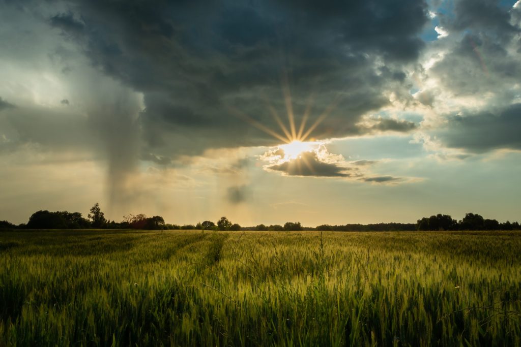 A vast green field under a dramatic sky with dark storm clouds. Sunbeams break through, casting light on the grass. Trees line the horizon, and a patch of rain falls in the distance.