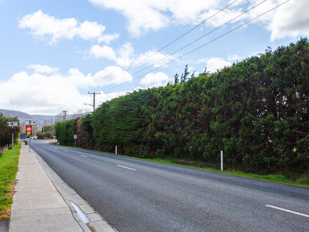 A straight road lined with tall green hedges on one side and a sidewalk on the other. The sky is partly cloudy, and a few utility poles are visible along the road. A distant red and white circular sign is visible ahead.