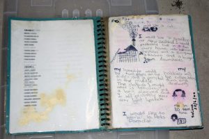 Open notebook with handwritten dreams and sketches. Left page lists grades; right page has wishes: living in New Zealand, hairstyle ideas, love for cats and pets, mentions wearing lipstick. Sketches include a house with smoke and a person with a cat.