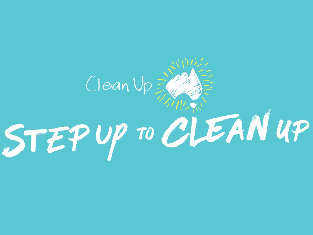 Text on a turquoise background reads Clean Up with an illustration of a mountain and sun behind it. Below, in larger letters, it says Step Up to Clean Up.