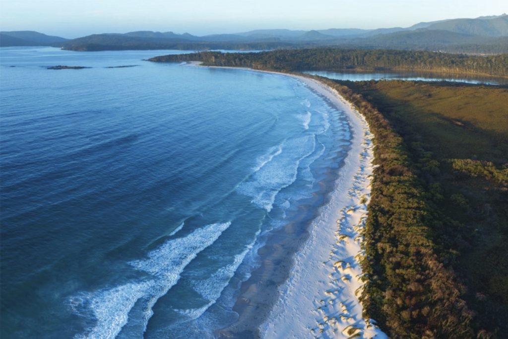 Aerial view of a long, curving coastline with gentle waves lapping against a sandy beach. To the right, dense green forests and hills extend towards the horizon under a clear blue sky, creating a serene and picturesque landscape.