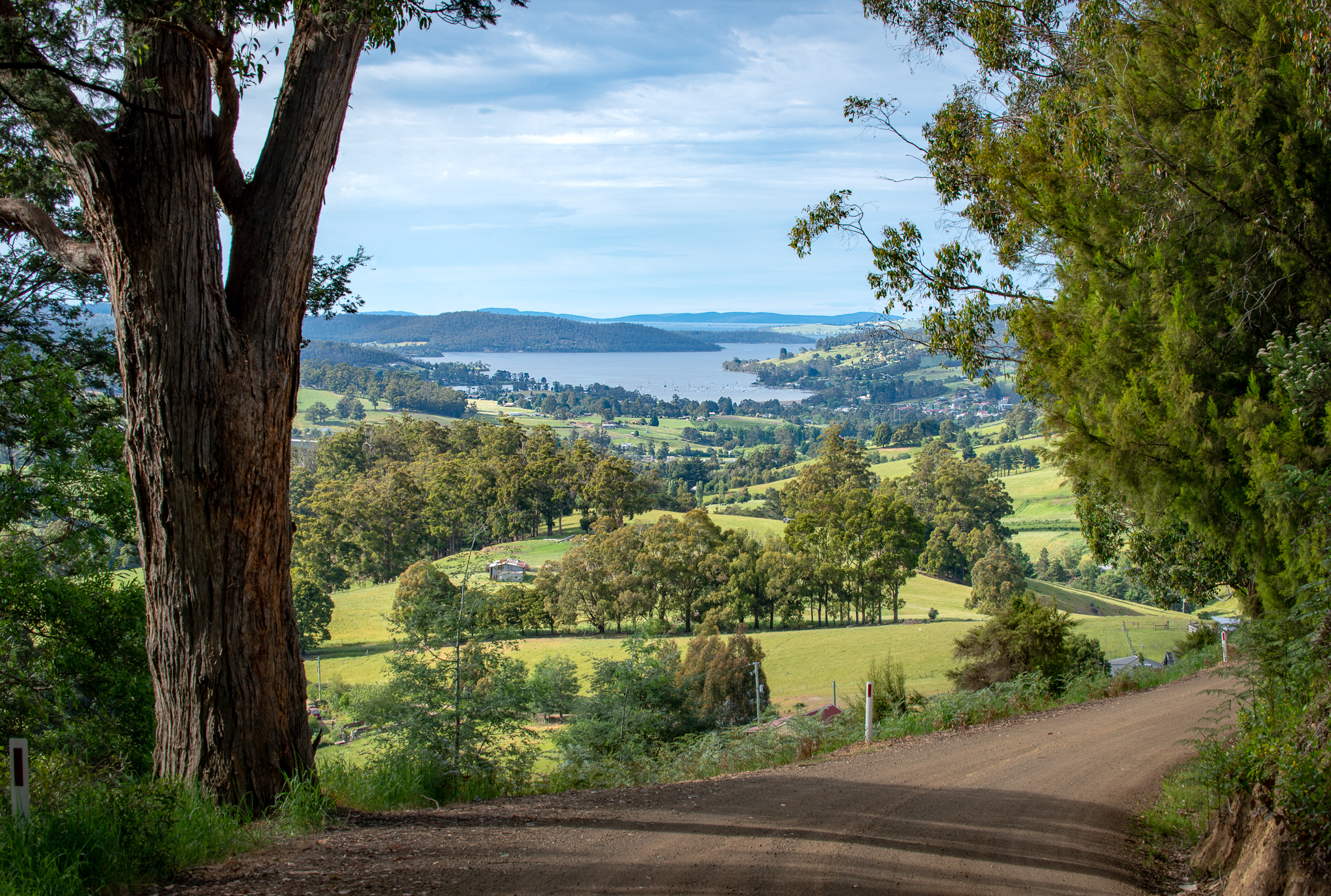 Dirt road surrounded by lush greenery, leading to a scenic view of a lake and distant hills under a cloudy sky. Tall trees frame the foreground, and rolling fields stretch towards the water.