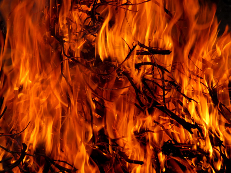 Close-up of vibrant orange flames engulfing dry twigs and branches, creating an intense and dynamic scene. The fires movement is visible through the twisting shapes and glowing embers.
