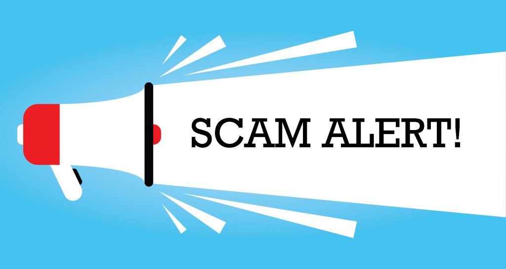 Illustration of a megaphone emitting beams of light with the text SCAM ALERT! in bold. The background is bright blue, emphasizing the warning message.