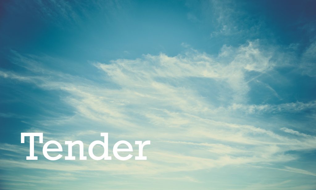 Light blue sky with wispy white clouds. The word Tender appears in large, bold white letters on the lower left side of the image.