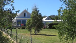 A light gray house with a sloped roof sits behind a grassy yard and trees, bordered by a wire fence under a clear blue sky.