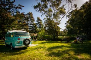 A vintage blue Volkswagen van parked on grass near trees, with a picnic table and two people sitting nearby in a sunny, scenic outdoor setting.