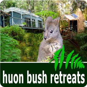 A quokka stands among green ferns, with two eco-cabins in a lush forest background. Text at bottom reads huon bush retreats with green fern graphics.