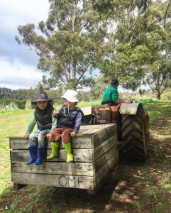Two children in hats and gumboots sit on a wooden crate attached to a tractor, with an adult driving. They are outdoors on grassy ground, surrounded by trees, under a partly cloudy sky.