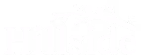 White logo with the word Hillside in large text. Above the letters, there is a branch with two birds sitting on it, all depicted in a minimalist style.