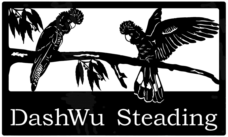 Black and white illustration of two cockatoos perched on a branch with leaves, above the text DashWu Steading in bold lettering.