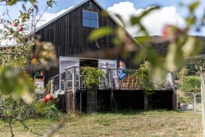 Two people sit and talk on the deck of a rustic wooden house, with plants growing around the railing and blurred apple tree branches in the foreground. The scene is set in a grassy, rural area on a sunny day.