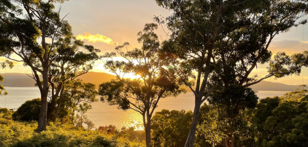 Sunset view through tall trees with golden sunlight reflecting on a calm body of water, distant hills on the horizon, and lush green foliage in the foreground.