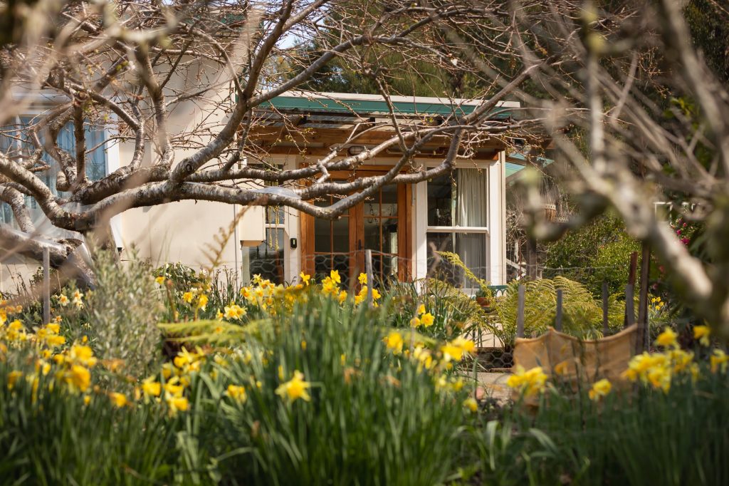 A cozy house with large windows and a green roof is surrounded by blooming yellow flowers and bare tree branches in a lush, sunny garden.