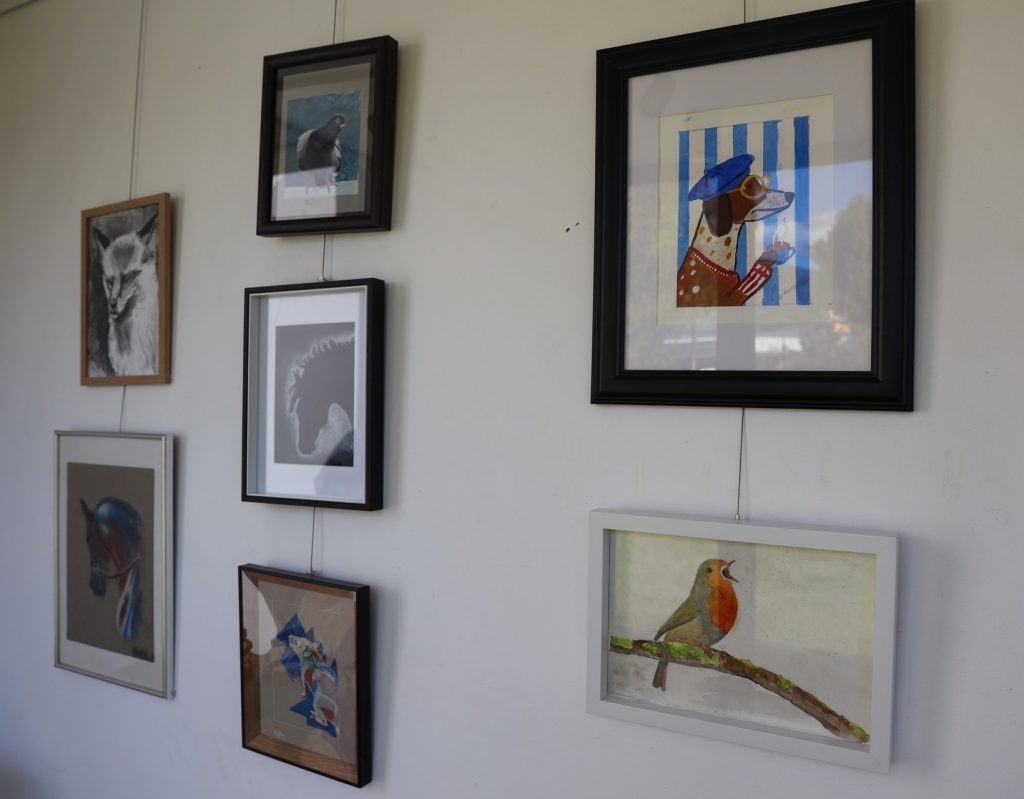 Several framed animal artworks, including birds and horses, hang on a white wall in two uneven vertical rows. The art styles vary, featuring both colorful and monochrome images, and the pictures are hung with visible wires.