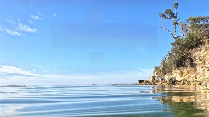 Calm water with gentle ripples, rocky shoreline on the right with trees and shrubs, and a clear blue sky overhead.