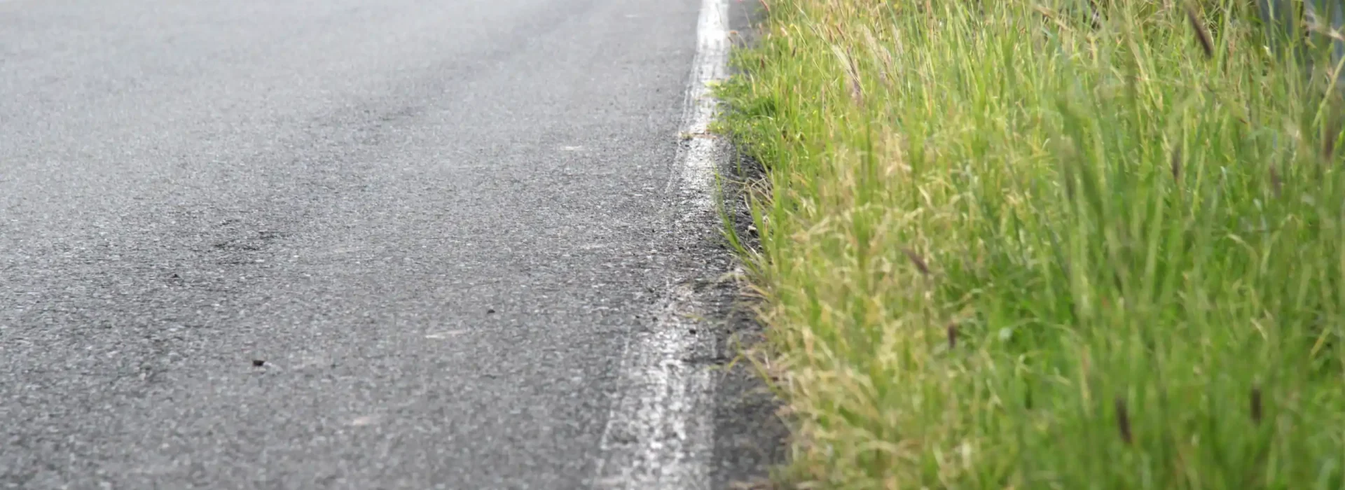 A close-up view of a paved road with a white edge line, bordered by tall green grass on the right side. The road curves gently into the distance.