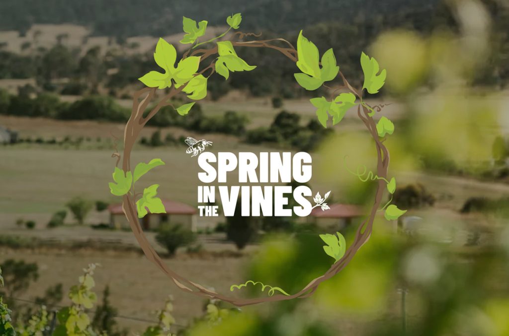 A vineyard landscape with the text Spring in the Vines inside a circle made of grapevines and leaves, with a bee and butterfly illustration.